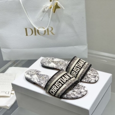 Christian Dior Slippers